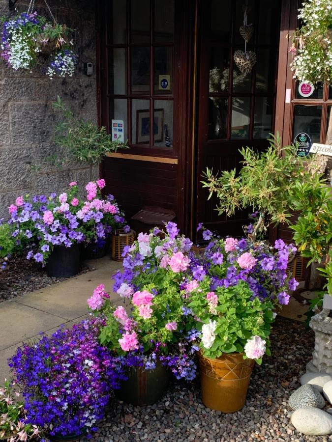 The Old Station Guest House St Andrews Exteriér fotografie